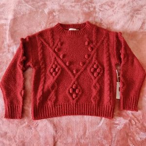 Dry Goods | Dreamers Pom Pom sweater